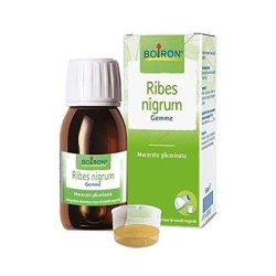 Boiron Ribes Nigrum Gemme Macerato Glicerinato 60ml