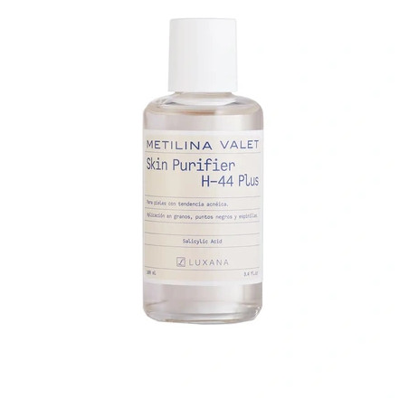 Metilina Valet Skin Purifier H-44 Plus