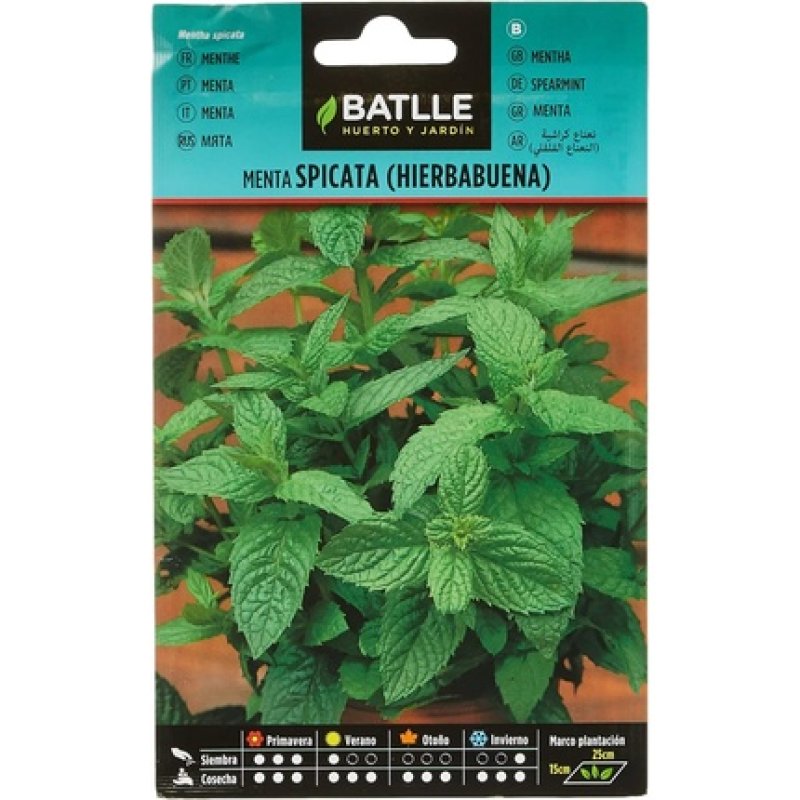 Batlle Aromatic Seeds Mint 0.2g