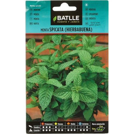 Batlle Aromatic Seeds Mint 0.2g