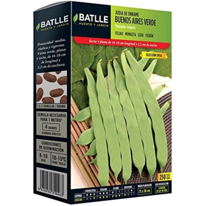 Leguminosa Seeds Buenos Aires Green 250g