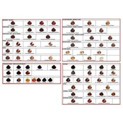 Salerm 8.6 Reddish Light Blond