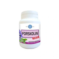 Bodyline Forskolin Forte 60 Capsule - Dietary Supplement For Weight Management