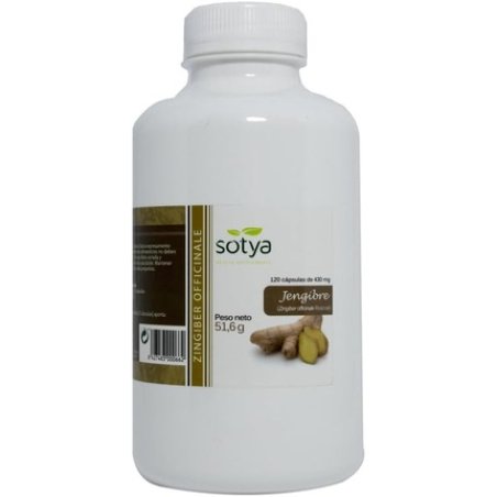 Ginger Herbal Supplement 120 Capsules