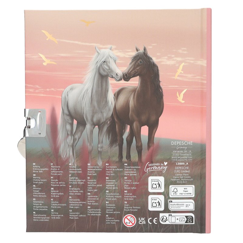 Miss Melody - Diary, Motif 2 (413889)