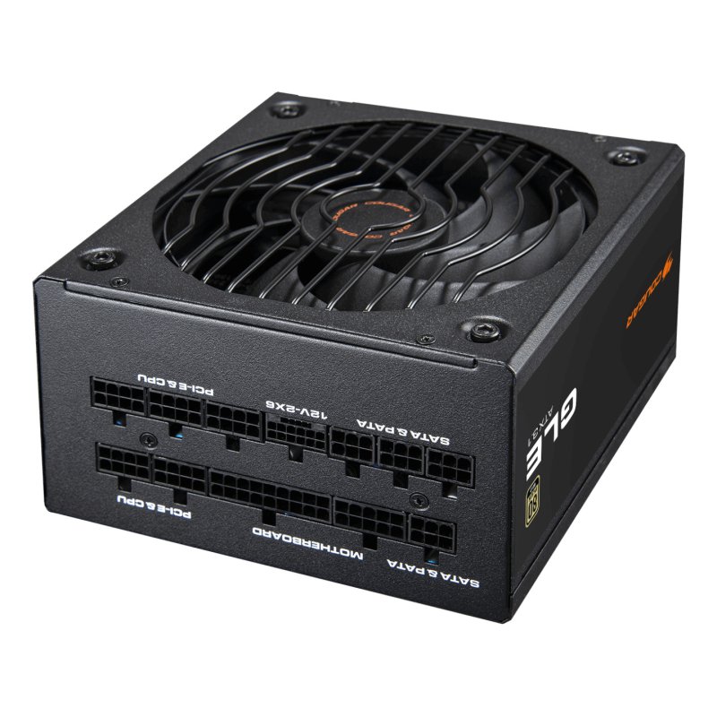 COUGAR Gaming CGR GLE-1000 unité d'alimentation d'énergie 1000 W 20 4 pin ATX ATX Noir