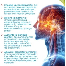 Montstar Circument Ginkgo 504mg 45 Capsules