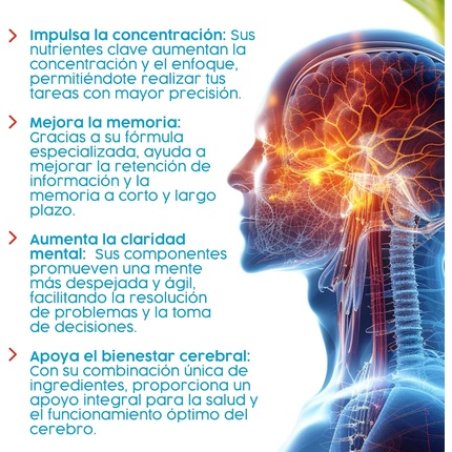 Montstar Circument Ginkgo 504mg 45 Capsules