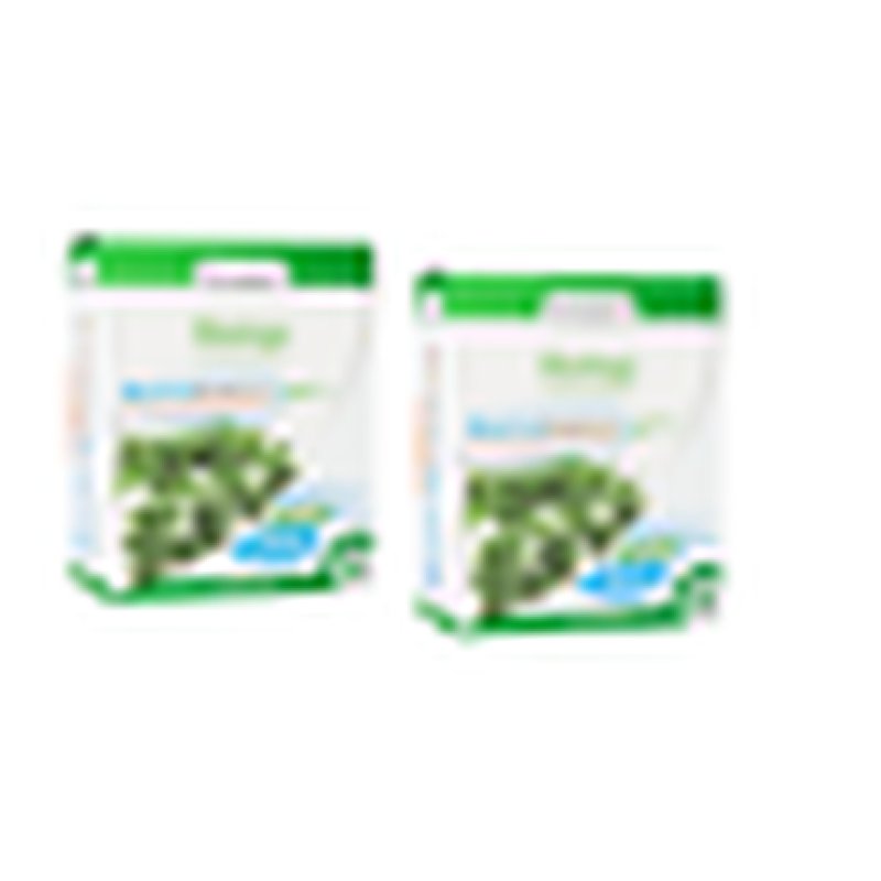 Moringa 700mg 60 Capsules Nutrabasics