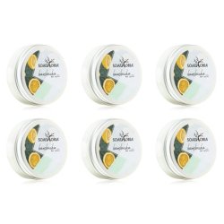 Bio Shea Butter Balm Natural Moisturizer for Body and Skin Care 50ml - Pack of 6