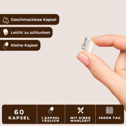 Liposomal Vitamin C High Dose with Reishi Capsules - Powerful