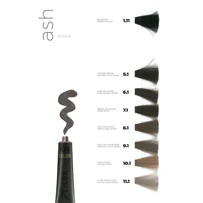 Icon Ecotech Color 10.1 Cendré Platine 60 ml