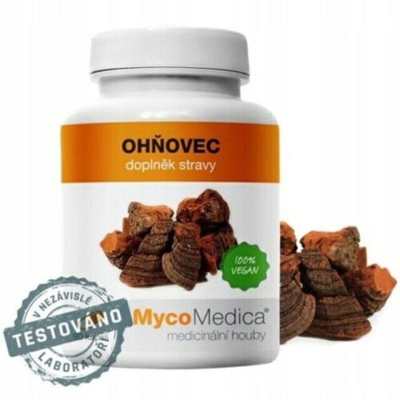 MycoMedica PHELLINUS LINTEUS Joints Skin 90 Capsules