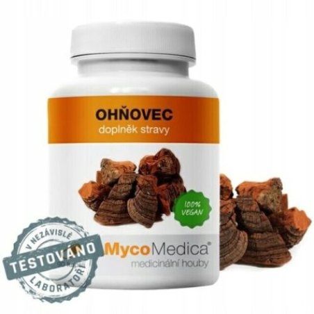 MycoMedica PHELLINUS LINTEUS Joints Skin 90 Capsules