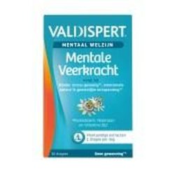 Valdispert Mental Strength By Valdispert