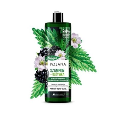 HERBAPOL Polana 2in1 Shampoo and Conditioner with Blackberry and Nettle