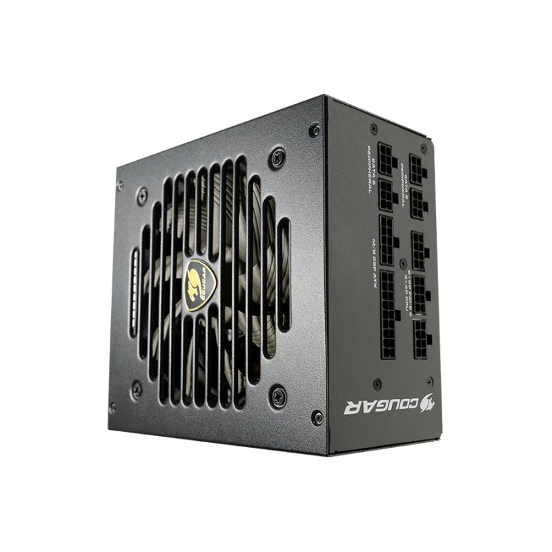 COUGAR Gaming GEX750 unité d'alimentation d'énergie 750 W 20 4 pin ATX ATX Noir