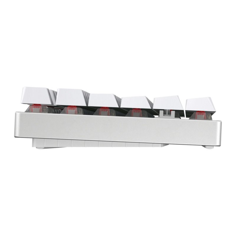 CHERRY MX 8.2 Wireless Keyboard TKL WL (without suitcase)