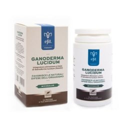 Efit Ganoderma Lucidum Reishi Dietary Supplement 90 Capsules