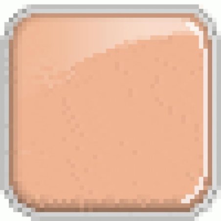 Evagarden Perfect Skin 30ml N242 Toast