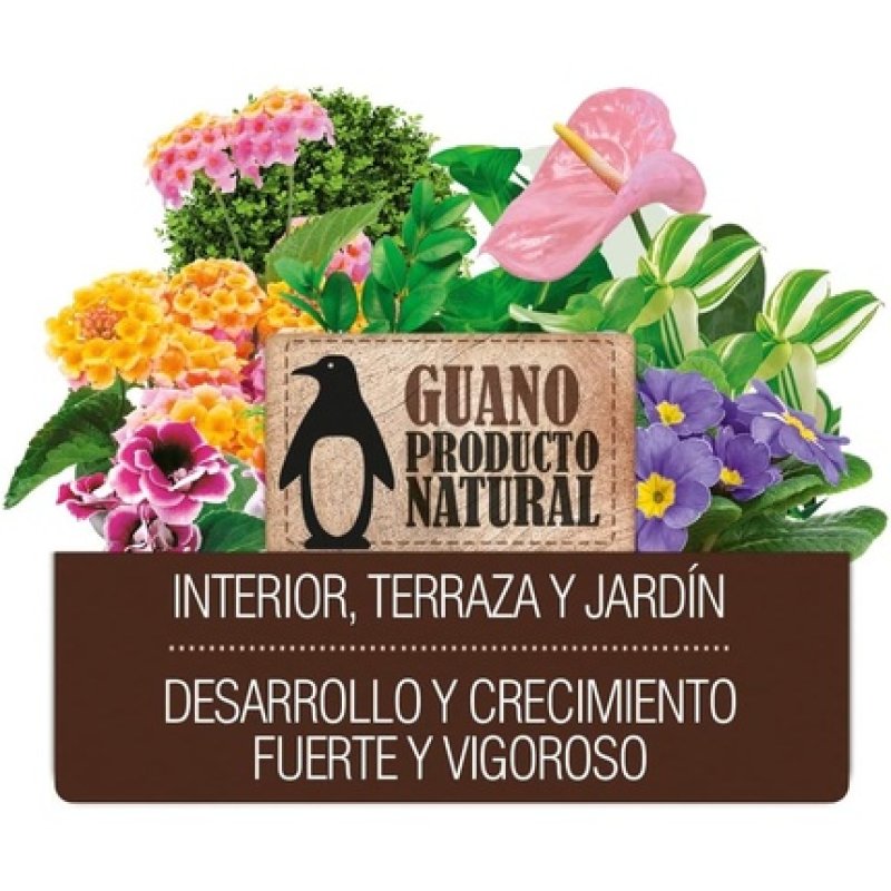 Flower 10586 Liquid Fertiliser Guano 1000ml