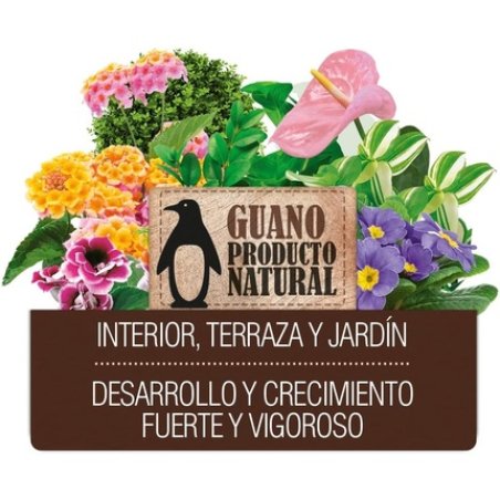 Flower 10586 Liquid Fertiliser Guano 1000ml