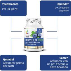 Bilberry Pure Dietary Supplement with Blueberry Extract - Supports Microcirculation and Vision - Gluten-Free and Vegan