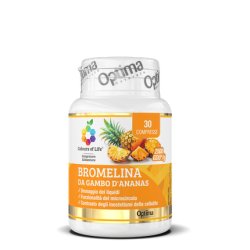 Bromelain from Pineapple Stem
