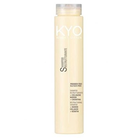 KYO Restruct System Shampoo 250ml