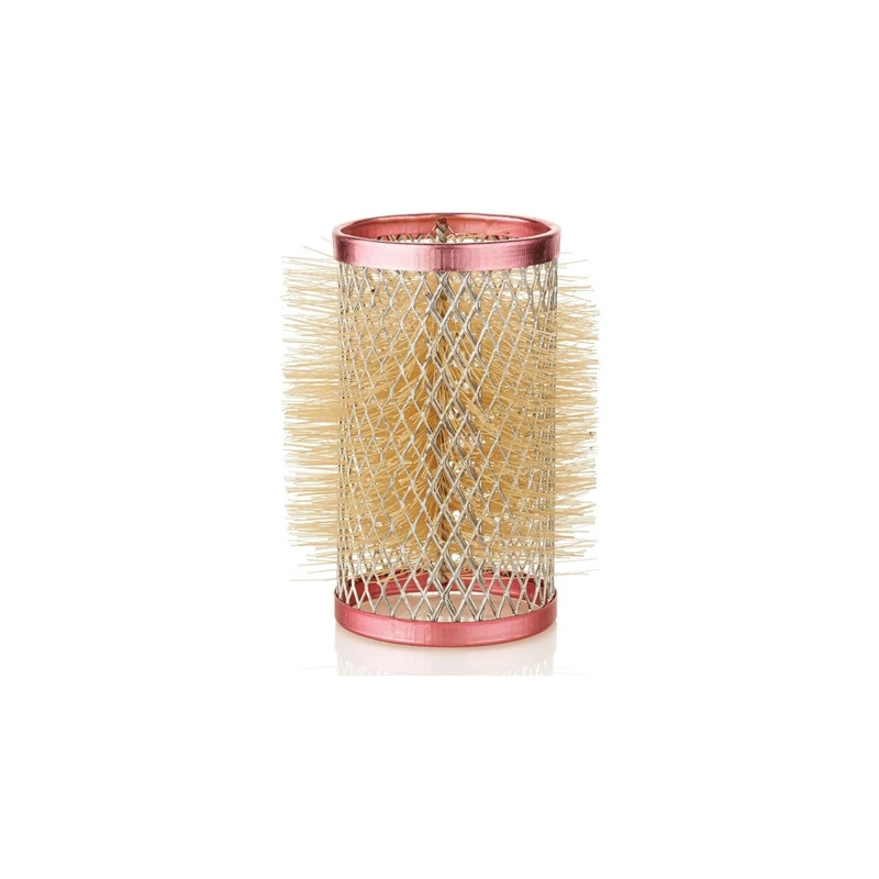 Xanitalia Pro Xan Pro 6 Metal Curlers 36mm