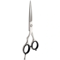 Xanitalia Pro Iwasaki Master Offset Scissors 5.5