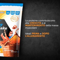 Named Sport 100% Whey Protein Shake 900g Chocolate