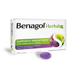 Kräuterbeeren Benagol 24 Tablets