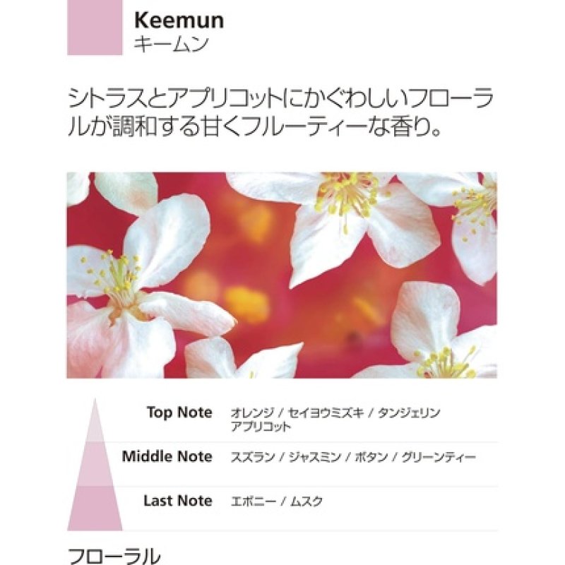 Millefiori Milano Keemun Zona 500ml Reed Diffuser White 9.6 x 11.3 x 36cm