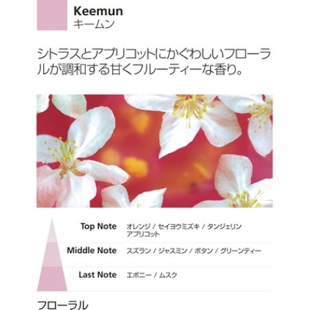 Millefiori Milano Keemun Zona 500ml Reed Diffuser White 9.6 x 11.3 x 36cm