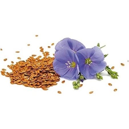 Granero Organic Flax Seeds 250g