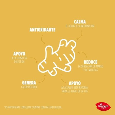 Organic Ginger Powder 150g