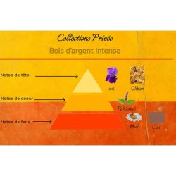 BA Intense Collection Privée