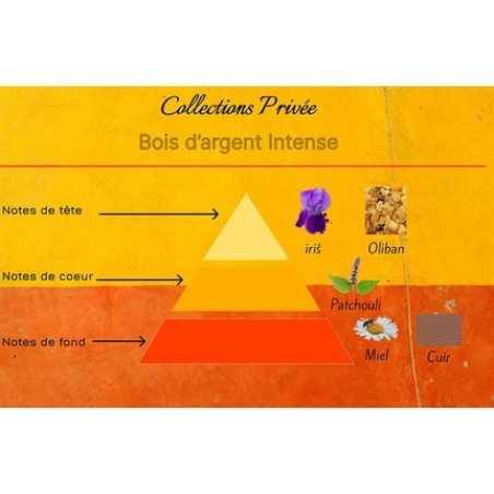 BA Intense Collection Privée