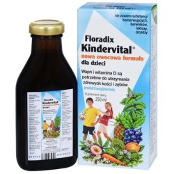 Floradix Kindervital New Fruit Food for Children 250ml