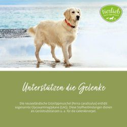 STOCK1 - Sanct Bernhard Green-Lipped Mussel Dog Capsules