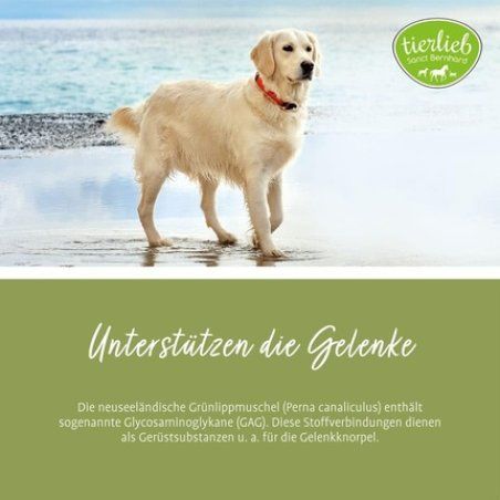 STOCK1 - Sanct Bernhard Green-Lipped Mussel Dog Capsules