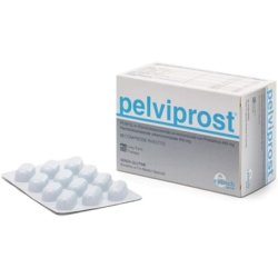 Epitech Group Pelviprost Prostate Disorders 60 Tablets