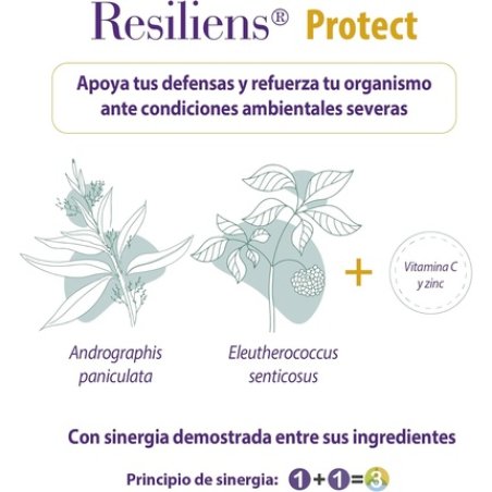 Durable Protection 60 Capsules