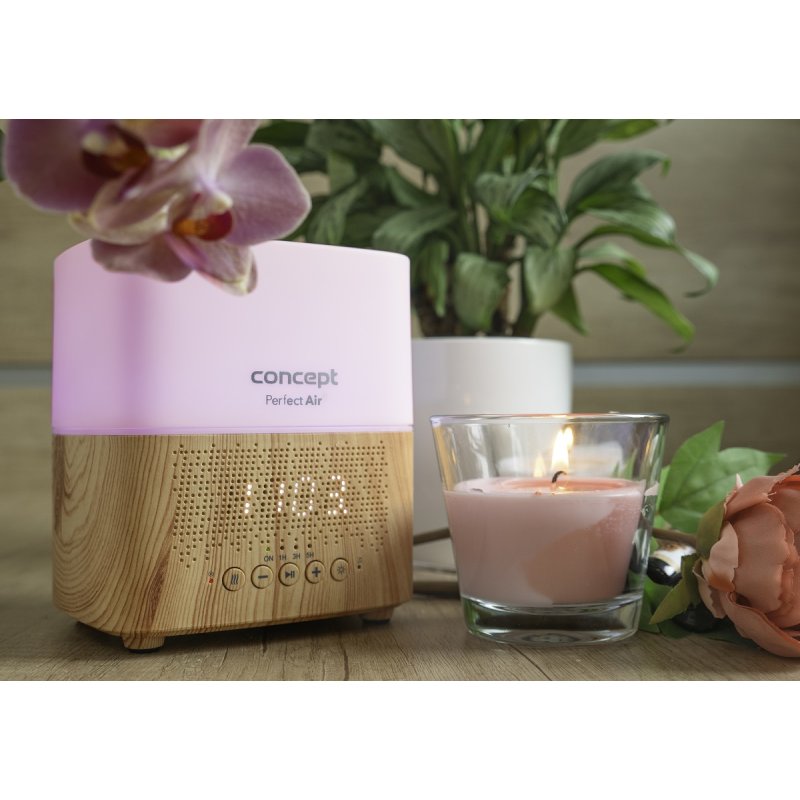 Concept DF2010 diffuseur aromatique Réservoir Bois