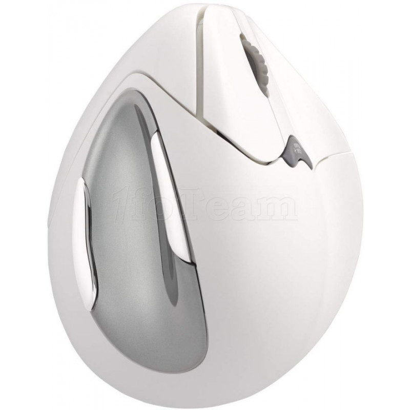 Souris sans fil Bluetooth Evoluent compatible Vertical Mouse 4 pour droitier (Blanc)