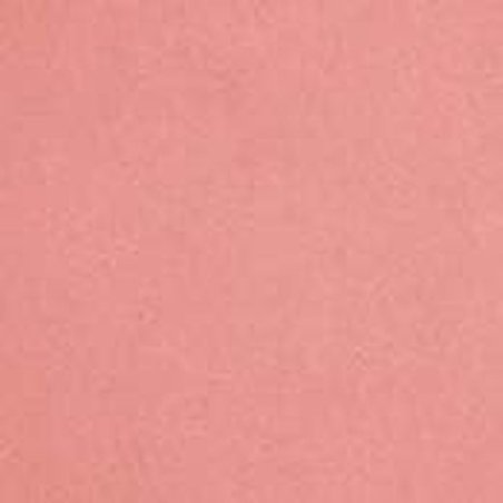 Golden Rose Nude Look Face Baked Blusher Peachy Nude