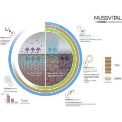 Mussvital Dermactive Lotion Skin for Atomic Skin 750ml