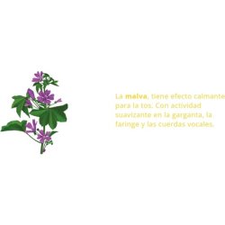 Epaplus Balsamic Syrup Immuncare for Adults 210g Lime 150ml