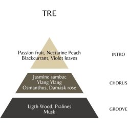 Three Eau de Parfum 100ml Women